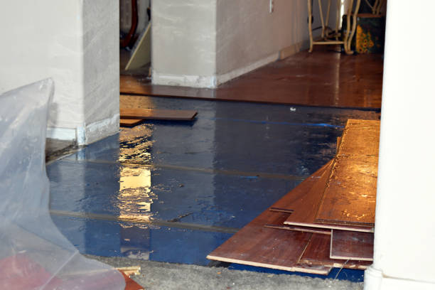 Professional Water Damage Restoration technician working in Martin, SD